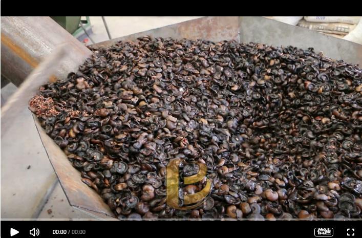 環保5G影院天天爽入口炭化處理腰果外殼增加經濟效益